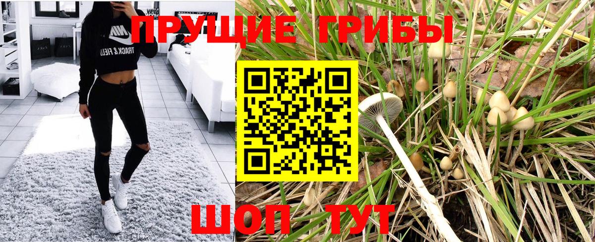 Галлюциногенные грибы MAGIC MUSHROOMS  Вход с VPN  Тихвин  Галлюциногенные грибы Cubensis 